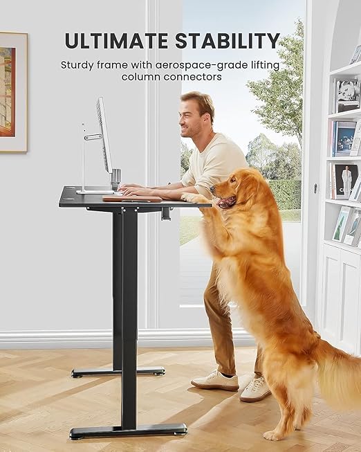 Electric Height Adjustable Computer Desk - Standing Computer Home Office Desk with Two-Piece Desktop (Black, 48 * 24 Inch)